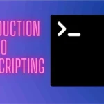 introduction-to-bash-scripting