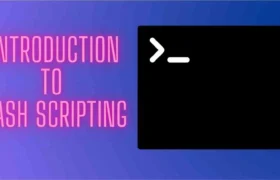 introduction-to-bash-scripting