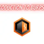 Introduction-to-burp-suite