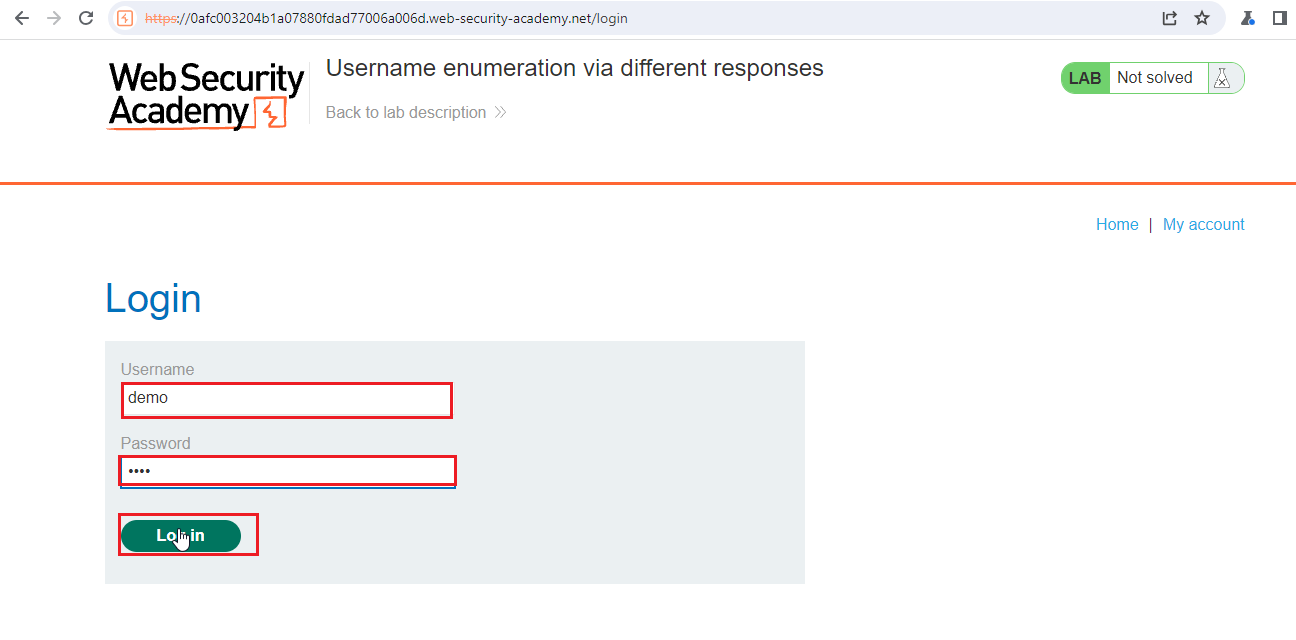 Input Field of the username